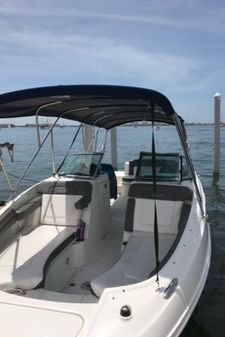 Sea Ray 260 Sundeck image