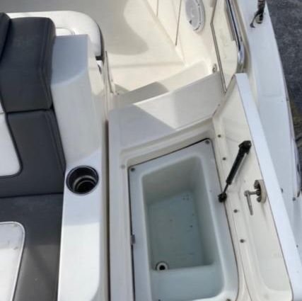 Sea Ray 260 Sundeck image