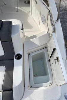 Sea Ray 260 Sundeck image