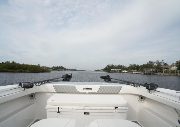 Invincible 46 Catamaran image