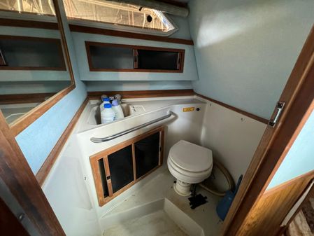 Sea-ray SUNDANCER-268 image