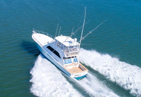 Viking 58 Convertible image