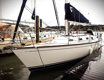 Tartan 31-PIPER image