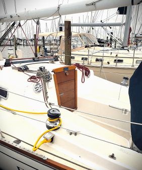 Tartan 31-PIPER image