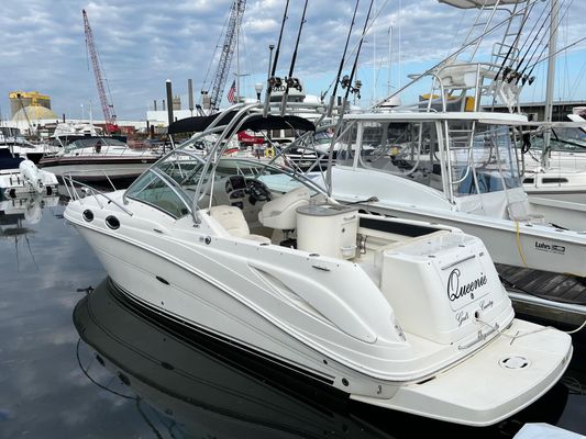 Sea-ray 270-AMBERJACK - main image