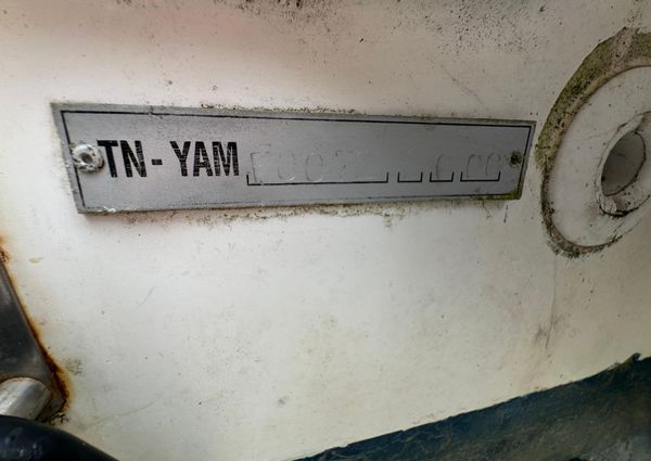 Yam 550 image