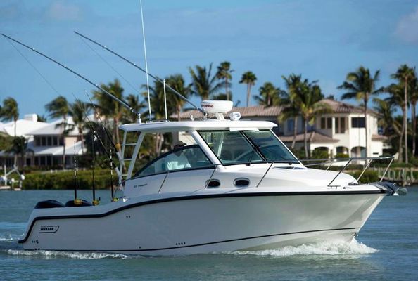 Boston Whaler 315 Conquest - main image