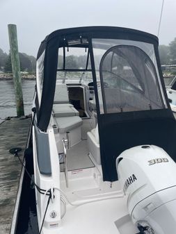 Regal 26XO image