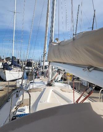 Saga 43 image