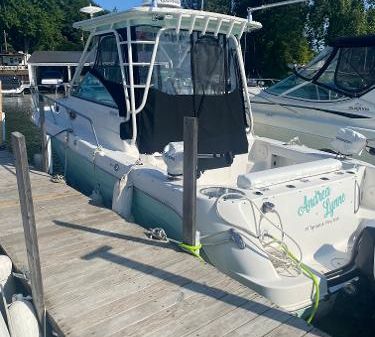 Robalo 305 Walkaround 