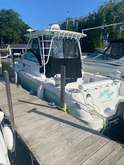 Robalo 305-WALKAROUND image