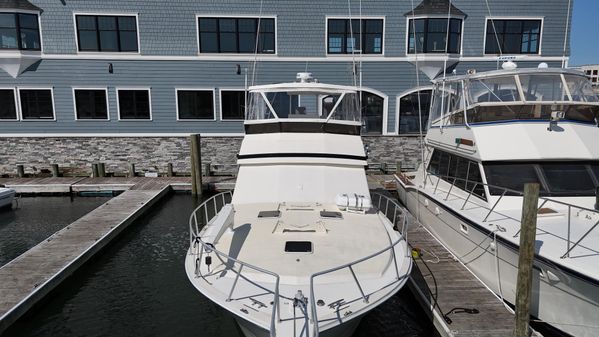 Viking 45 Convertible image