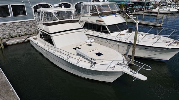 Viking 45 Convertible image