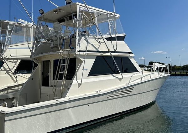 Viking 45 Convertible image