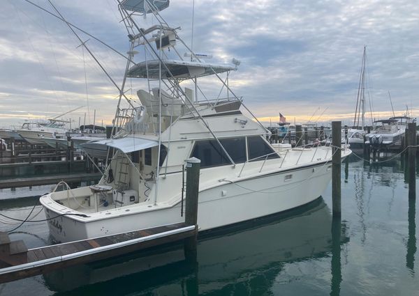 Hatteras Sportfish image