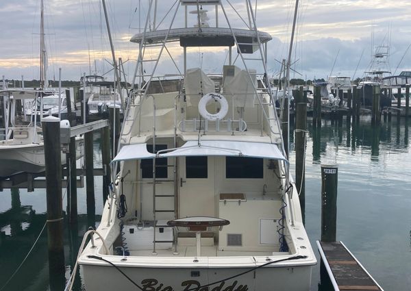 Hatteras Sportfish image