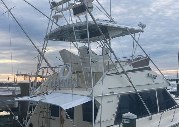 Hatteras Sportfish image