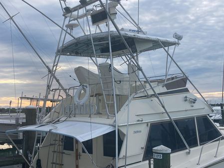 Hatteras Sportfish image