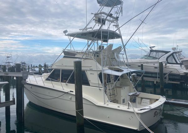 Hatteras Sportfish image