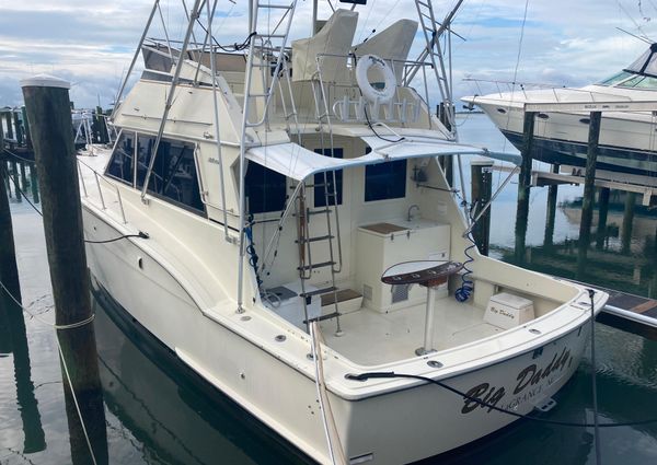 Hatteras Sportfish image