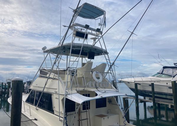 Hatteras Sportfish image