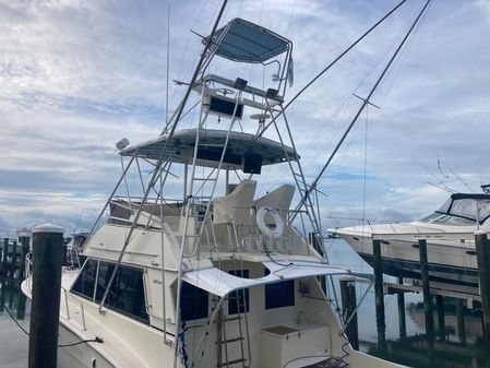 Hatteras Sportfish image