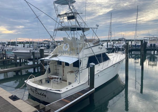 Hatteras Sportfish image