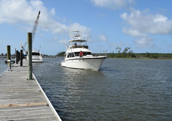 Hatteras Sportfish image