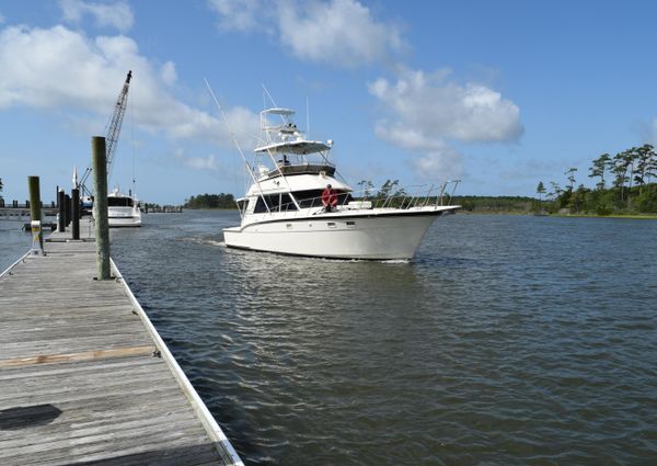 Hatteras Sportfish image