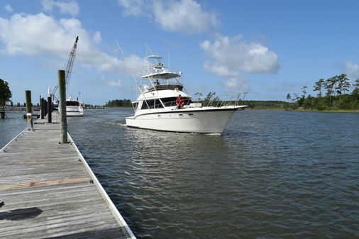 Hatteras Sportfish image