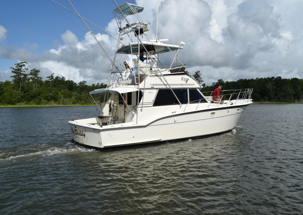 Hatteras Sportfish image