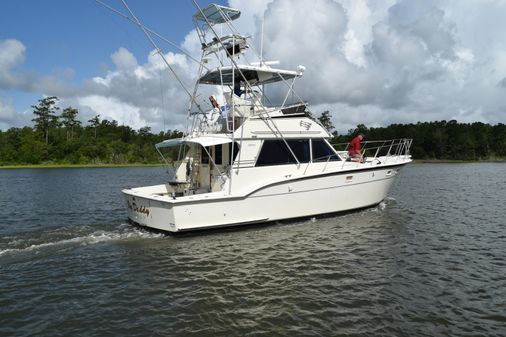 Hatteras Sportfish image