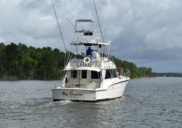 Hatteras Sportfish image