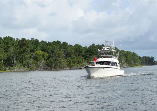 Hatteras Sportfish image