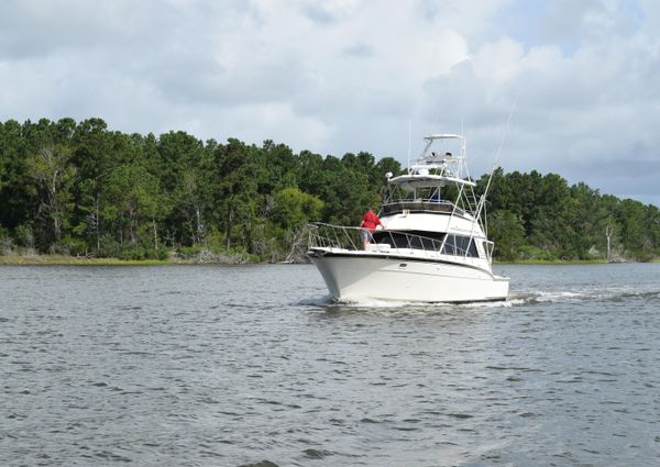 Hatteras Sportfish image