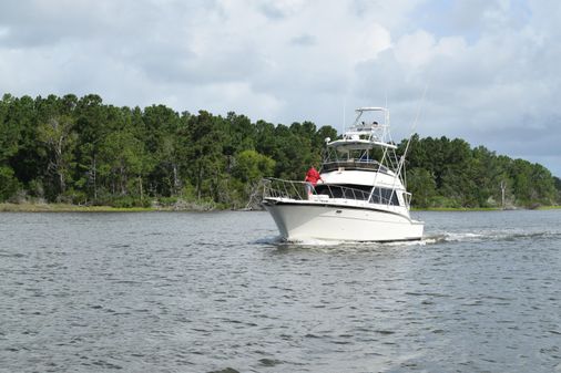 Hatteras Sportfish image