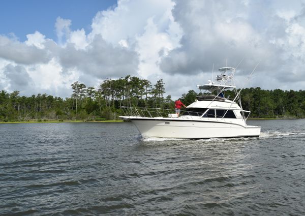 Hatteras Sportfish image