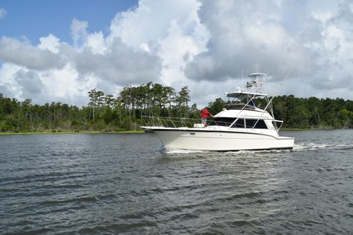 Hatteras Sportfish image