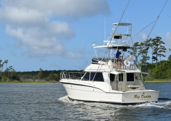 Hatteras Sportfish image