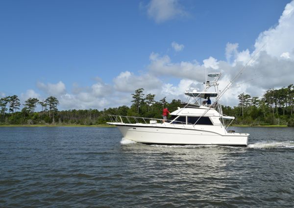 Hatteras Sportfish image