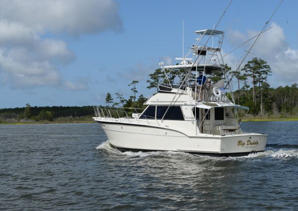 Hatteras Sportfish image