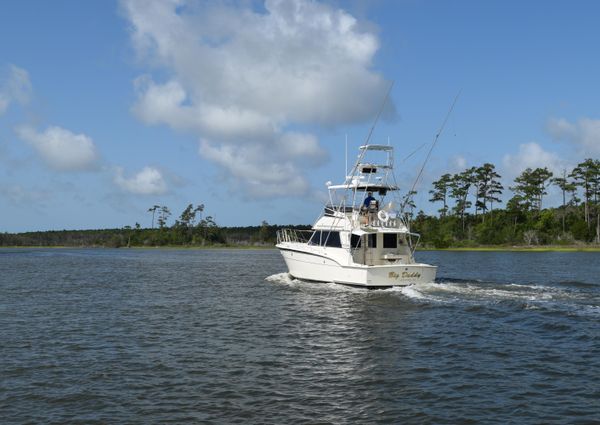 Hatteras Sportfish image