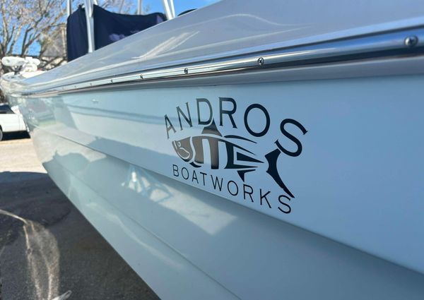 Andros Tarpon 26 image