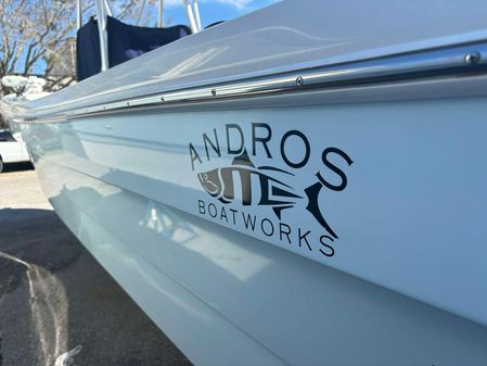 Andros Tarpon 26 image