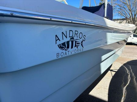 Andros Tarpon 26 image