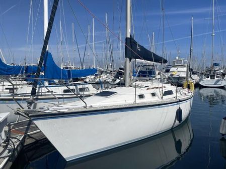 Hunter 31 image