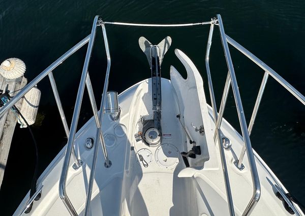 Sea Ray Sundancer 350 Coupe image