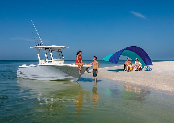 Robalo R270 image