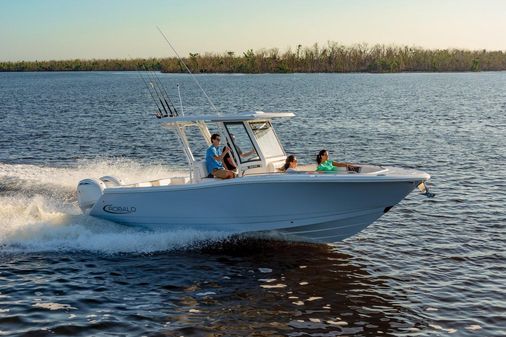 Robalo R270 image