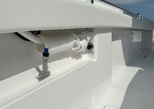 Invincible 33 Catamaran image